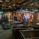 Illustration for article titled Take a Visual Tour of the World's Most Modern Slaughterhouse